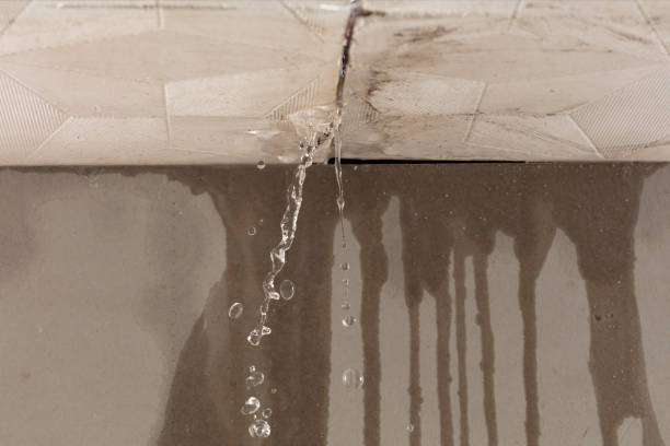 Professional Water Damage Restoration technician working in Carbon, TX